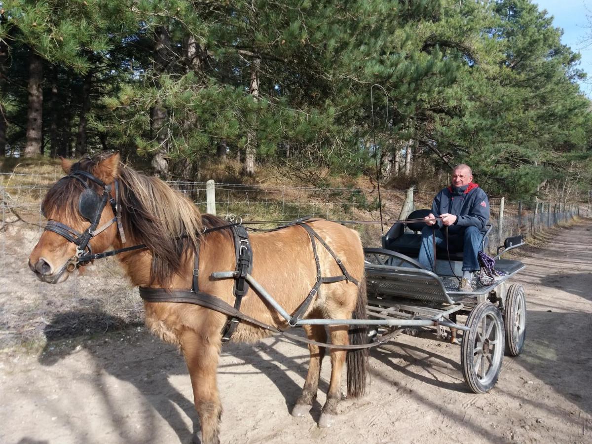 Gites "Aux Charmes De La Baie" Labellises 3 Clevacances Avec Parking Et Terrain Clos Buigny-Saint-Maclou Dış mekan fotoğraf